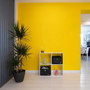 Enxhi's , Tirana Albania